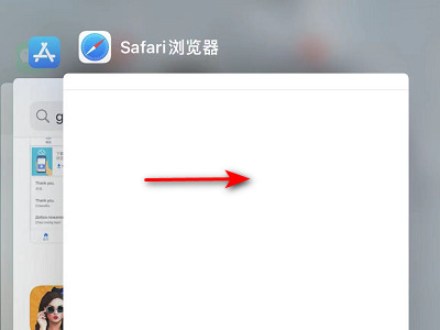 苹果12怎么关闭浏览过的页面第3步