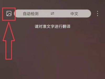 华为怎么提取图片中的文字第4步