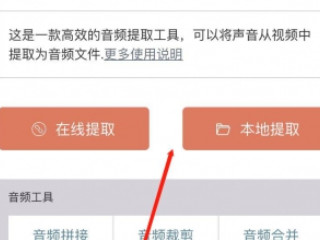 视频转换成音频第4步