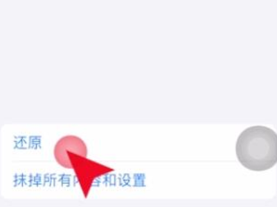 手机屏幕出现横条纹第3步