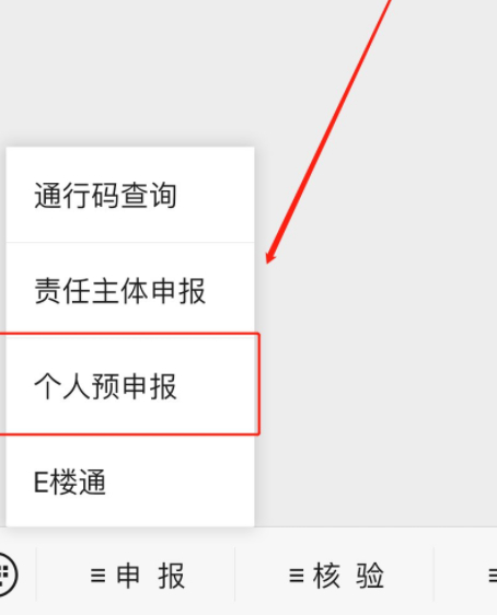 怎样查看自己的莞e申报第2步