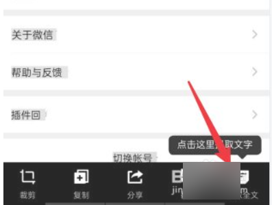 qq怎么提取文字第4步