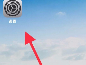 ios14.3设备管理在哪里第1步