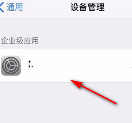ios14.3设备管理在哪里第4步