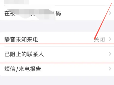 查看苹果拉黑期间电话记录第3步