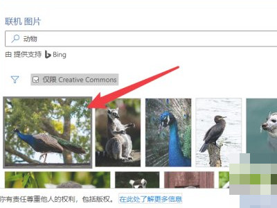怎样在文档里面加照片第4步