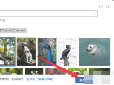 怎样在文档里面加照片第5步