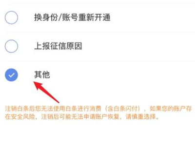 京东开通白条后能取消吗第5步
