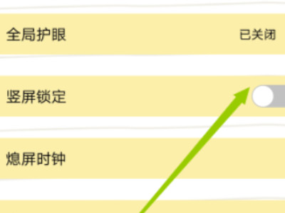 vivo手机旋转屏幕怎么关第3步