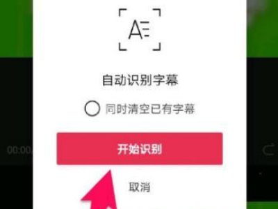把视频中的话转换成文字第3步