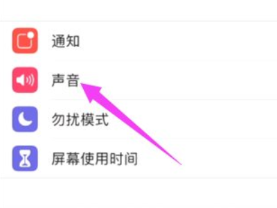 苹果12音量键按了没反应第2步