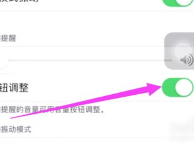 苹果12音量键按了没反应第4步