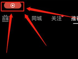 作者已关闭下载功能怎么下载第3步