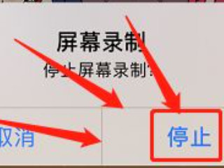 作者已关闭下载功能怎么下载第4步