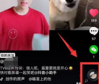 怎样拍抖音同款模板第2步