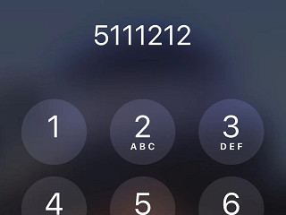 4006668800怎么转人工第5步