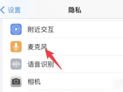 麦克风权限在哪里开启第2步
