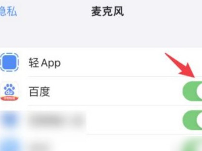 麦克风权限在哪里开启第3步