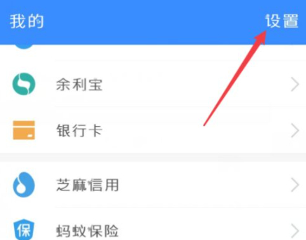 怎么查看支付宝自动续费项目第3步