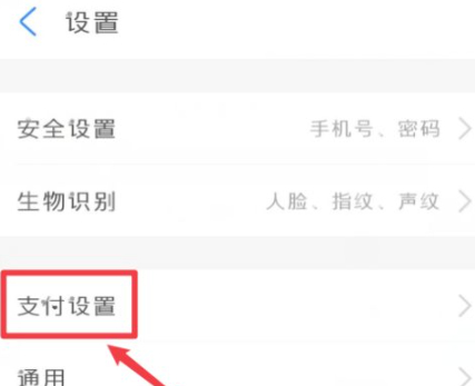 怎么查看支付宝自动续费项目第4步