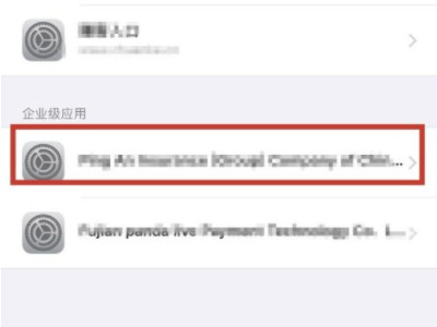 苹果手机怎么设置信任一个app第4步