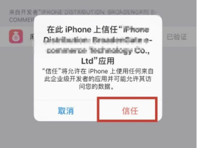 苹果手机怎么设置信任一个app第5步