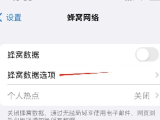 iphone12怎么关5g网络第2步