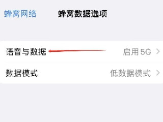 iphone12怎么关5g网络第3步