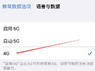 iphone12怎么关5g网络第4步