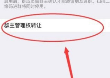 群主误退群怎么恢复群主位置第3步