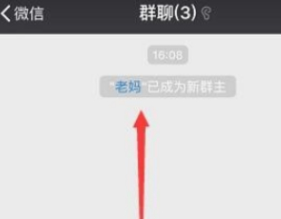 群主误退群怎么恢复群主位置第5步