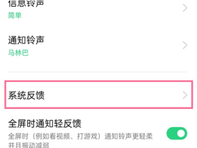oppo手机按键震动在哪里设置第3步