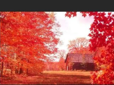 图片放大模糊怎么变清晰第2步