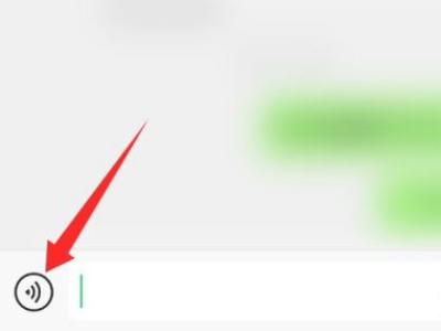 微信语音转不了文字是怎么回事第1步