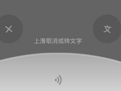 微信语音转不了文字是怎么回事第2步