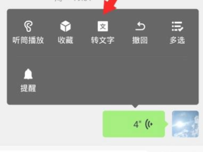 微信语音转不了文字是怎么回事第4步