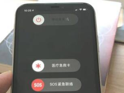 苹果11怎么关机按哪个键第3步