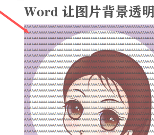 word怎么把图片背景变成透明第1步