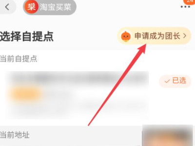 淘宝买菜怎么申请团长第3步