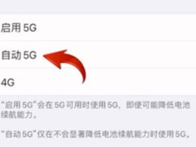 iphone12怎么设置5g第5步