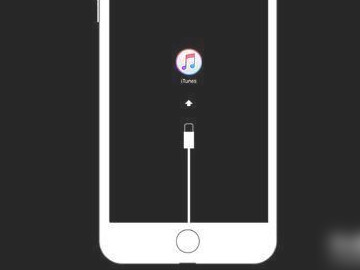 苹果7开不了机一直闪白苹果第4步