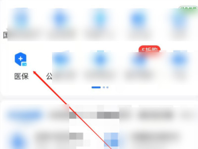 合疗怎样在手机上交第3步