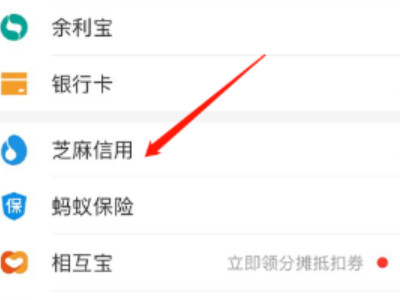 支付宝如何查花呗逾期记录第1步