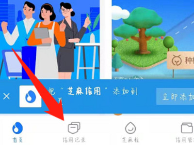 支付宝如何查花呗逾期记录第2步