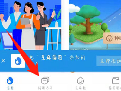支付宝如何查花呗逾期记录第3步