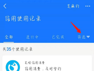支付宝如何查花呗逾期记录第4步