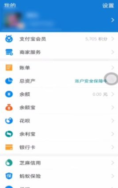 怎么看支付宝消费总额第1步