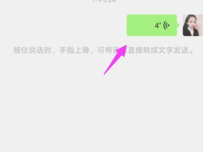 微信转文字失败 怎么办第3步