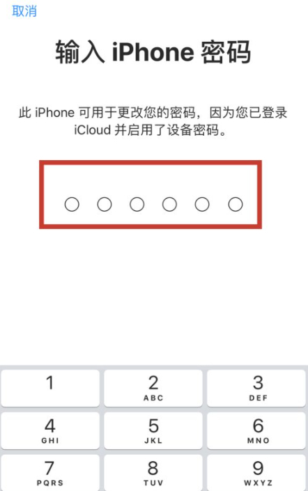 苹果下载密码忘记了怎么修改第5步