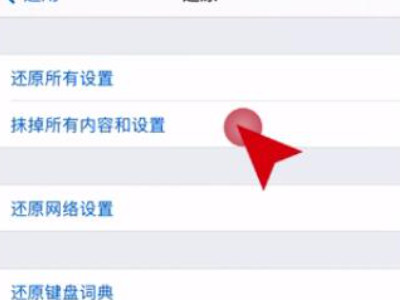 苹果突然无服务蜂窝空白第6步